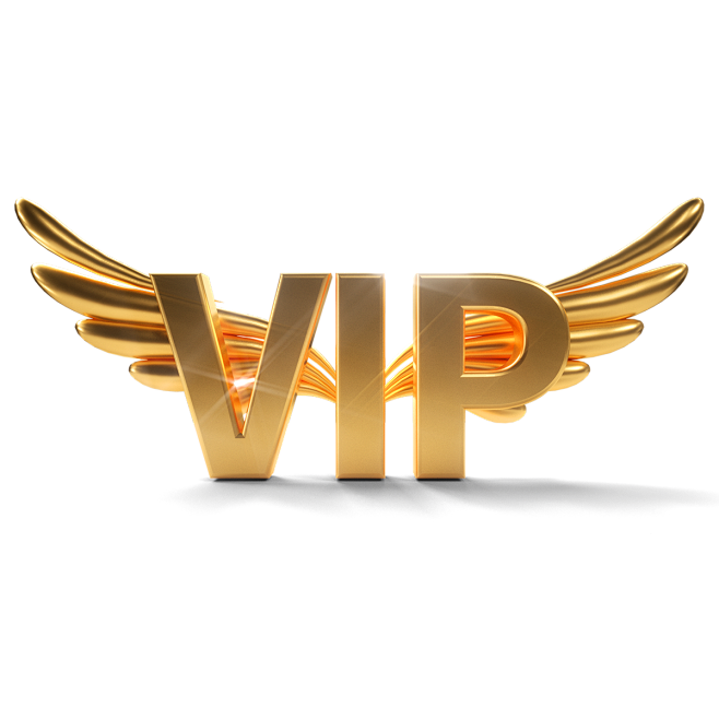 VIP单机驿站